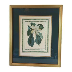 Vintage Rand Hort Chelf Magnolia Folios Ovato Print Framed Matted App 20" x 17"
